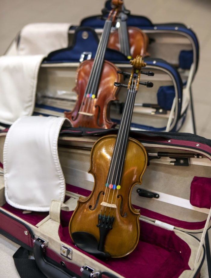 Cours de Violon à Monthey